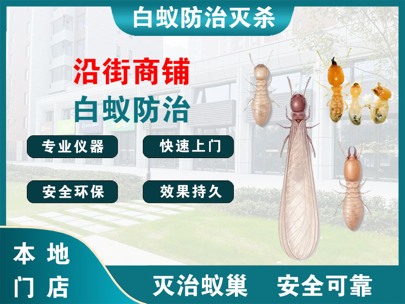 东海沿街商铺白蚁防治