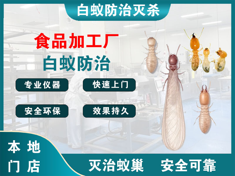 东海食品加工厂白蚁防治