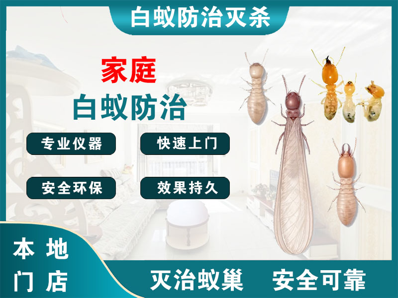 东海家庭白蚁防治