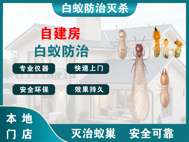 东海自建房白蚁防治