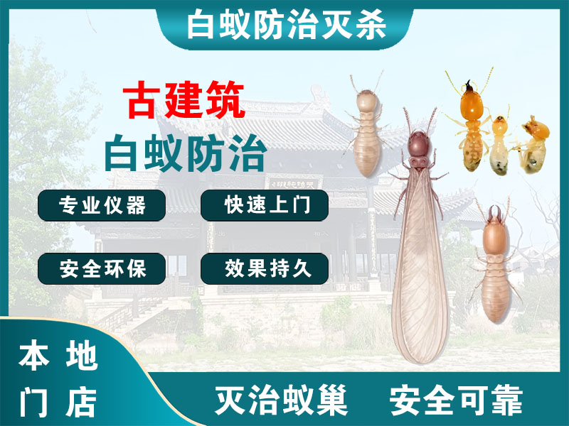东海古建筑白蚁防治
