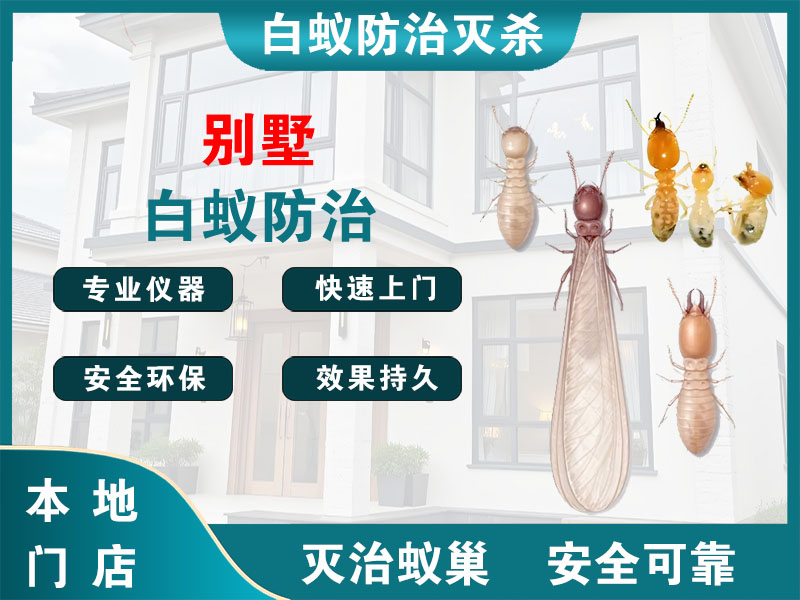 东海别墅白蚁防治