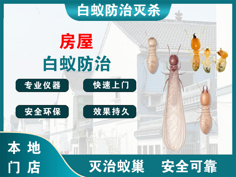 东海房屋白蚁防治