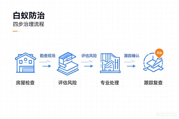 1785231992891931.jpg 白蚁防治图片生成 (17).jpg